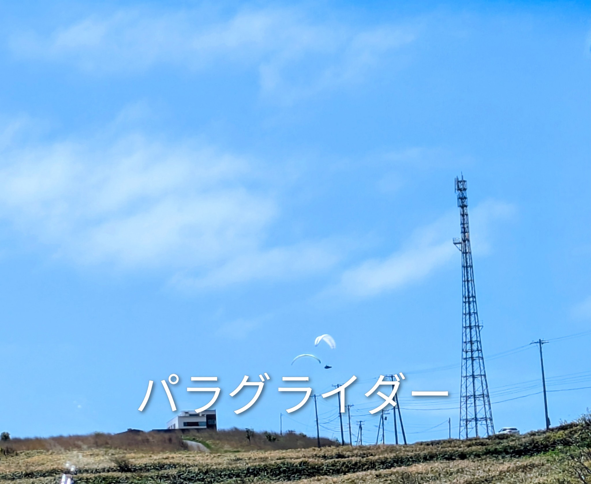 f:id:shringo51:20260524064857j:image