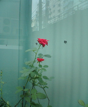 20060731140100