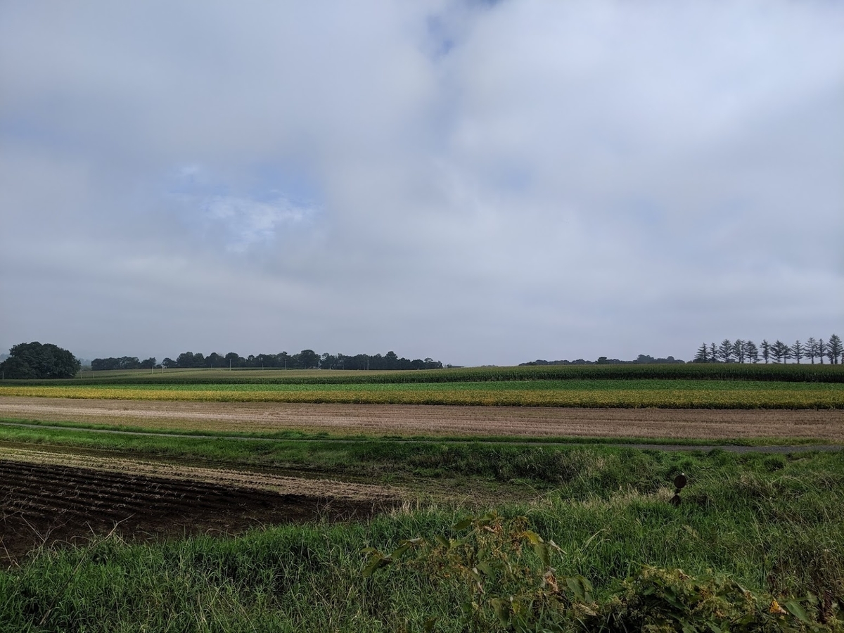 f:id:sht1016:20190928135947j:plain f:id:sht1016:20190928135947j:plain