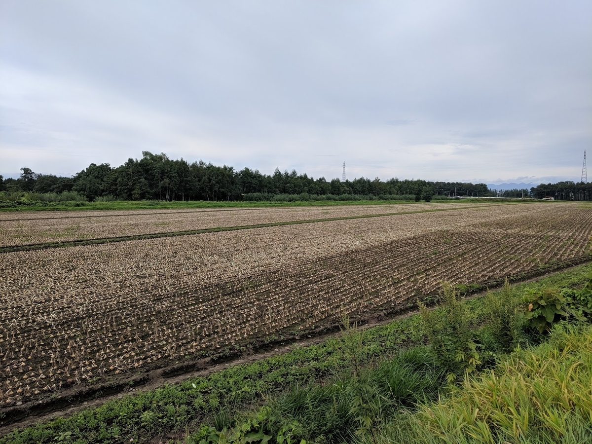 f:id:sht1016:20191007235812j:plain f:id:sht1016:20191007235812j:plain