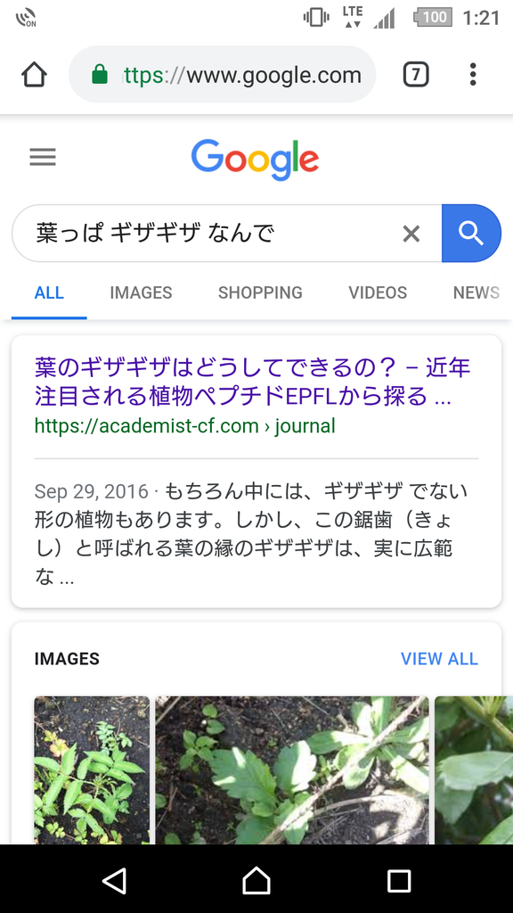 f:id:shtoma:20190106133903p:plain f:id:shtoma:20190106133903p:plain