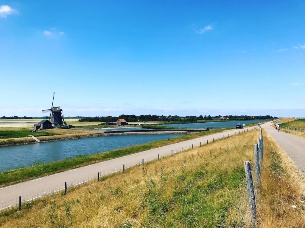 f:id:shu223:20180703154846j:plain:w600 f:id:shu223:20180703154846j:plain:w600