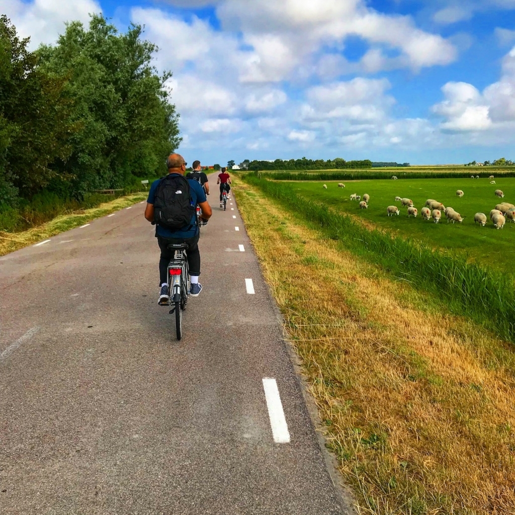 f:id:shu223:20180706094346j:plain:w600 f:id:shu223:20180706094346j:plain:w600