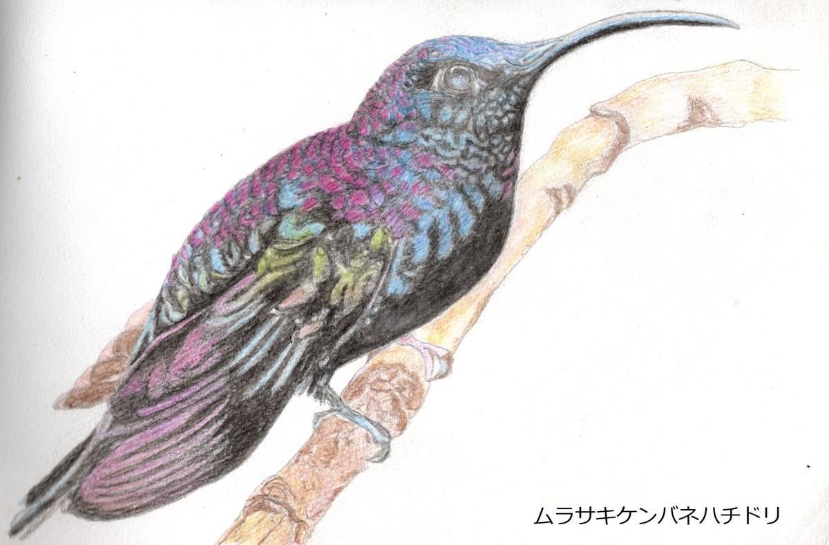 f:id:shuasai1207:20200116160848j:plain