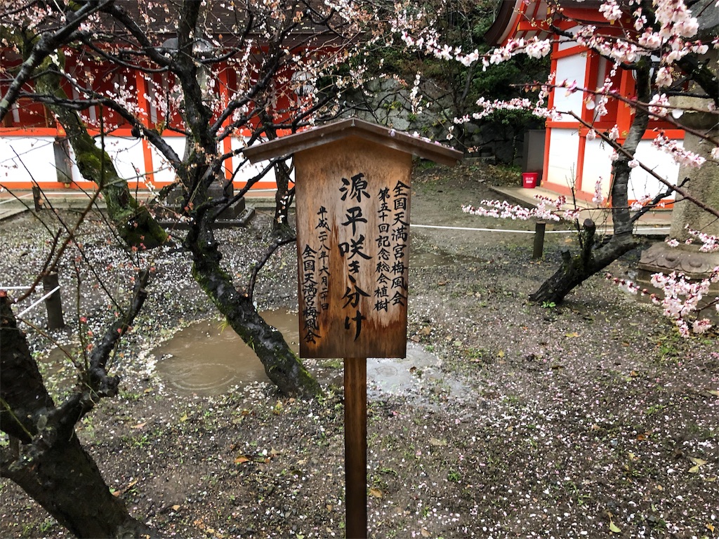 f:id:shudai0802:20190419071357j:image f:id:shudai0802:20190419071357j:image