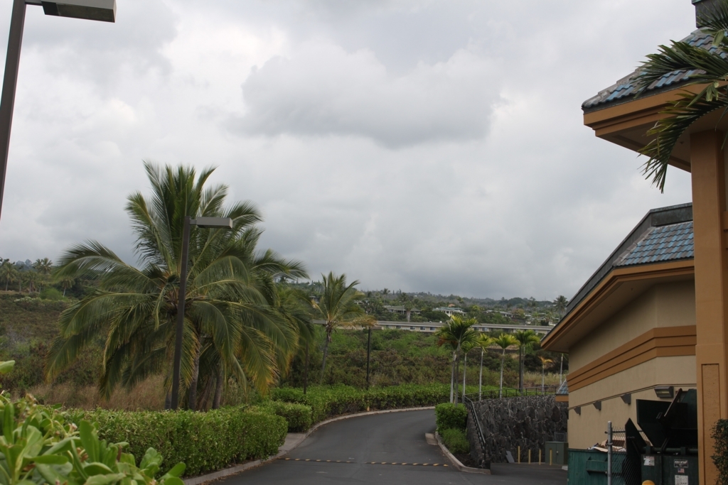 f:id:shue-a:20170821200121j:plain f:id:shue-a:20170821200121j:plain