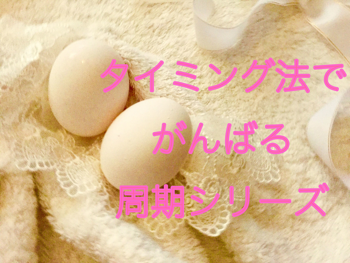 f:id:shufukatsu:20190510012533j:plain f:id:shufukatsu:20190510012533j:plain