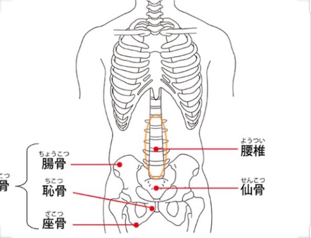 f:id:shufunomikatatan:20200622134448j:image f:id:shufunomikatatan:20200622134448j:image