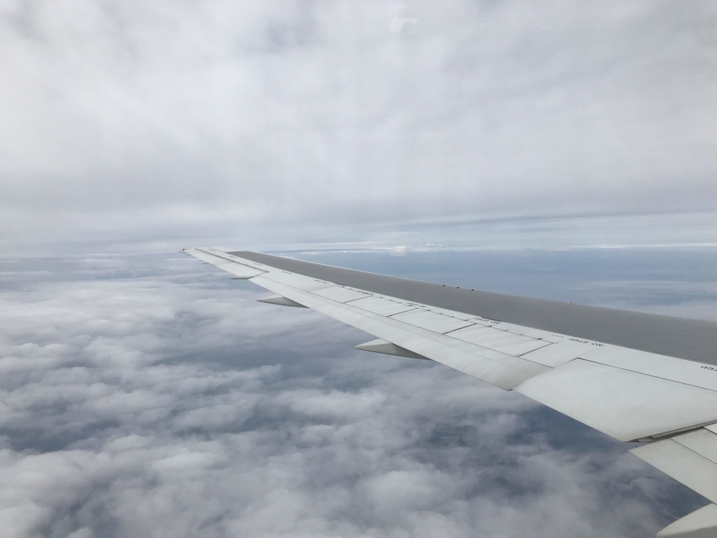 f:id:shuheiokuda0704:20190114180502j:plain f:id:shuheiokuda0704:20190114180502j:plain