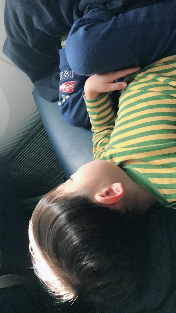 f:id:shuheiokuda0704:20190114180911j:plain f:id:shuheiokuda0704:20190114180911j:plain