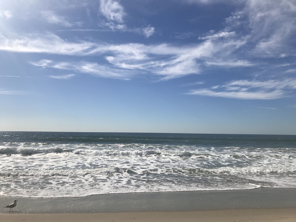 f:id:shuheiokuda0704:20190114181618j:plain f:id:shuheiokuda0704:20190114181618j:plain