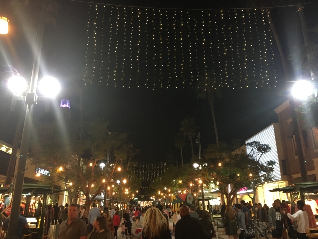 f:id:shuheisfsu:20180129061737j:plain