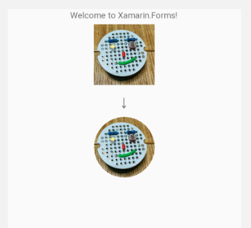 Xamarin Formsで丸い画像を表示する Shuhelohelo S Blog