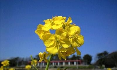f:id:shuhey1973:20080321142548j:image f:id:shuhey1973:20080321142548j:image