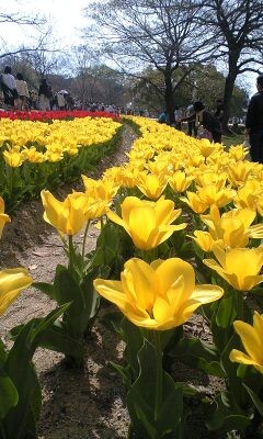 20090412143704