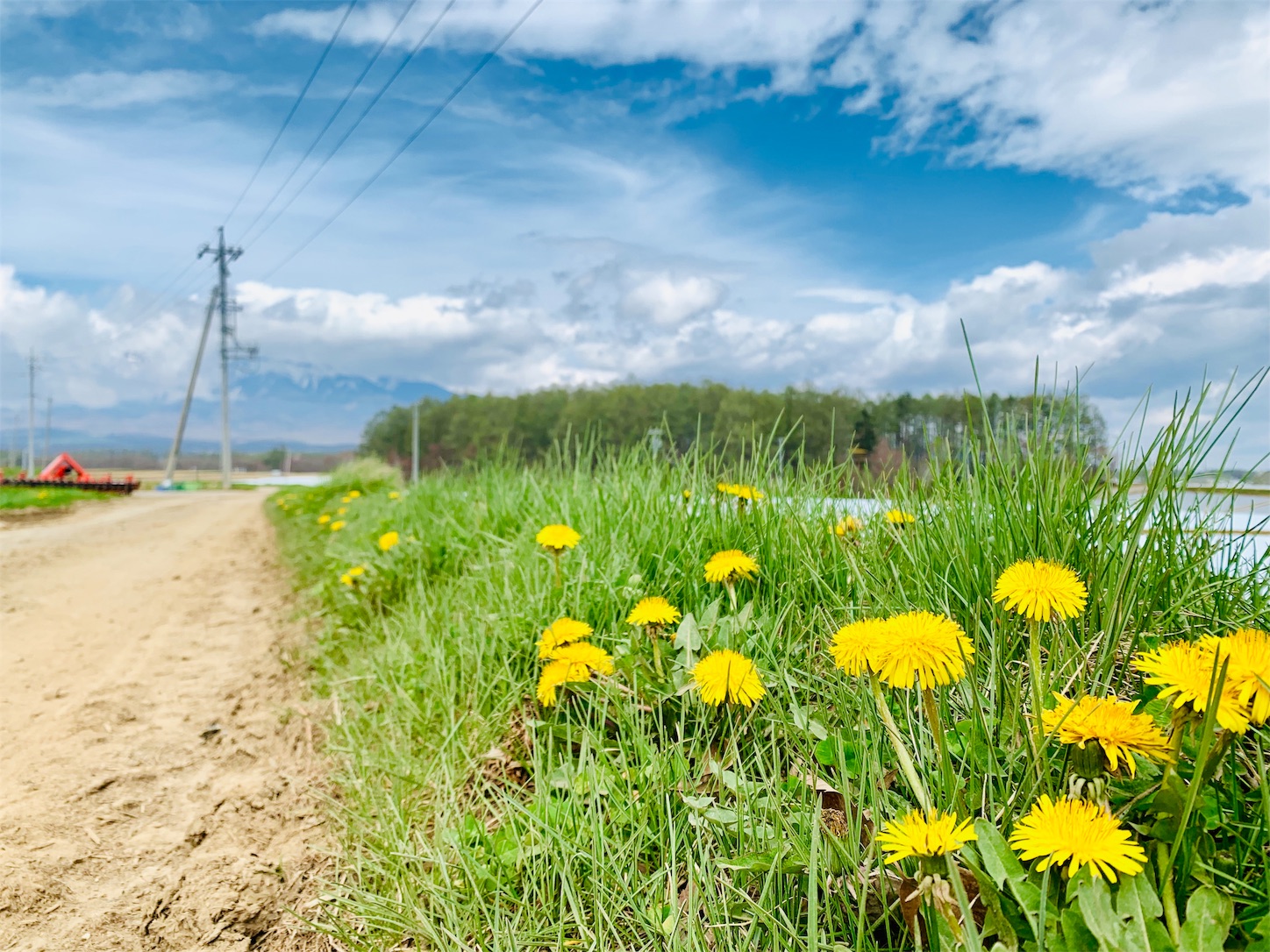 f:id:shui_watanabe:20190603233010j:image