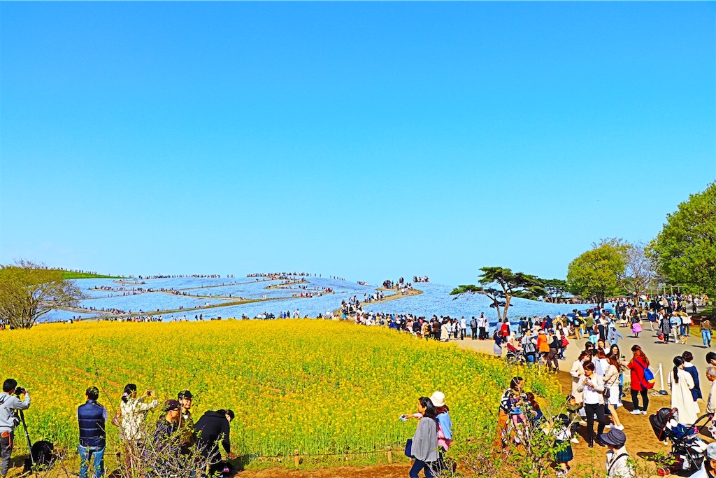 f:id:shuichiro58:20180507002746j:image