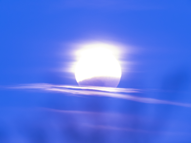 f:id:shuji_acure:20210529154621j:plain
