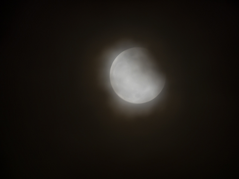 f:id:shuji_acure:20210529162441j:plain