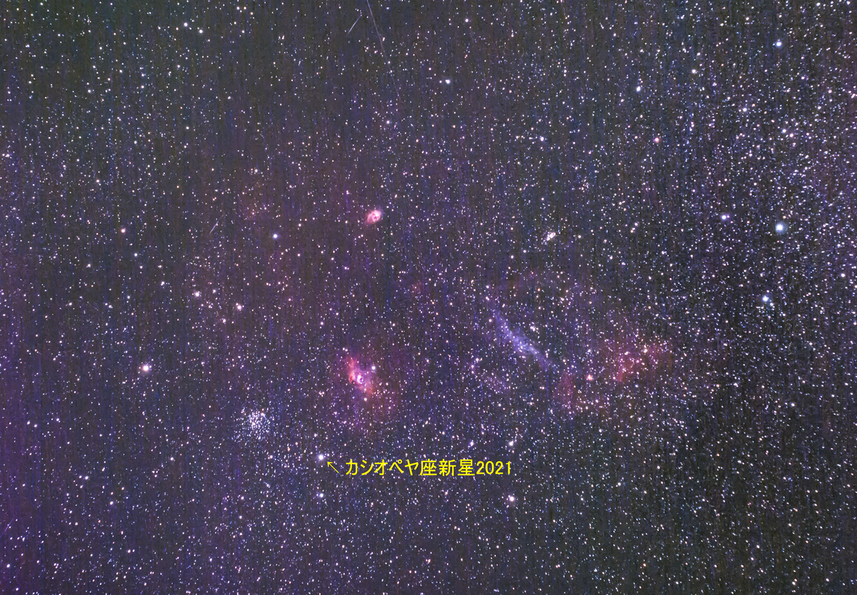 f:id:shuji_acure:20210531231912j:plain