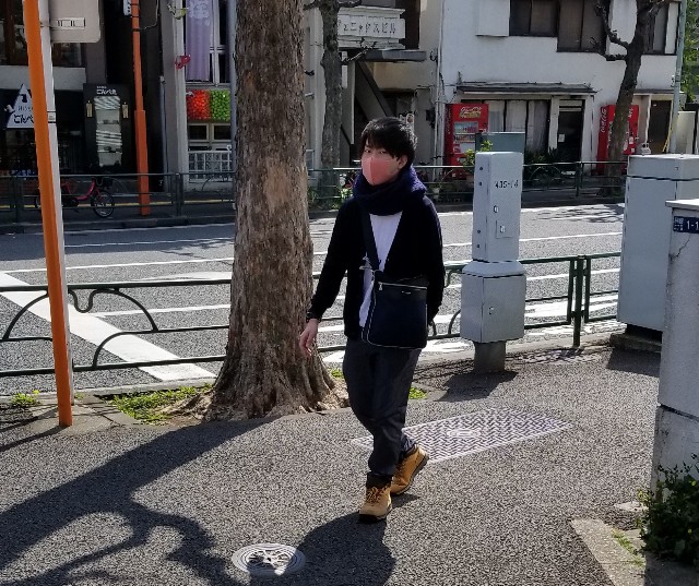 f:id:shuka-tsu2:20190317142750j:image f:id:shuka-tsu2:20190317142750j:image
