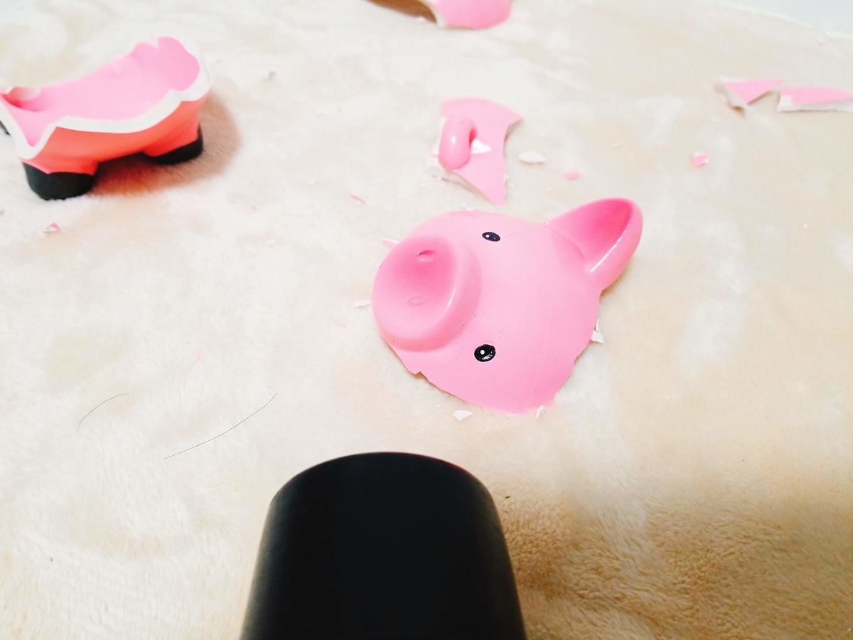 f:id:shuka-tsu2:20190324232720j:plain f:id:shuka-tsu2:20190324232720j:plain