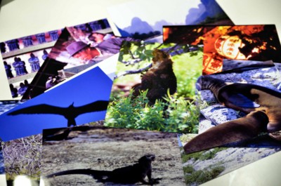 f:id:shukaneko:20110703190922j:image:right f:id:shukaneko:20110703190922j:image:right