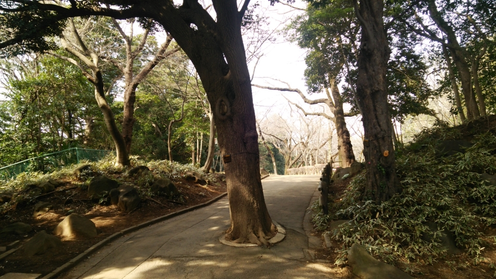 f:id:shukuzou:20170306111443j:plain