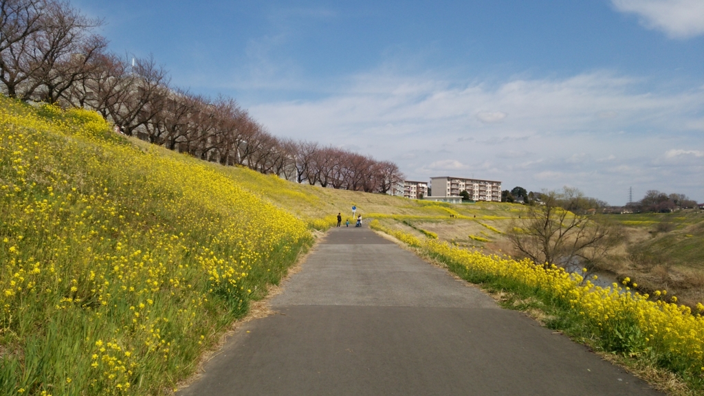 f:id:shukuzou:20170404191029j:plain f:id:shukuzou:20170404191029j:plain