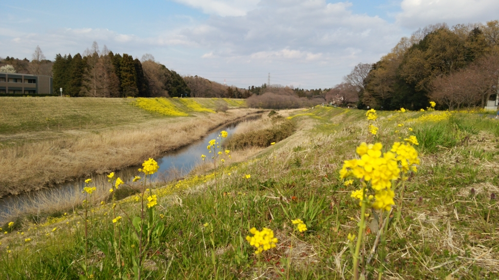 f:id:shukuzou:20170404191119j:plain f:id:shukuzou:20170404191119j:plain