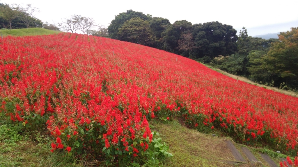 f:id:shukuzou:20171014114021j:plain