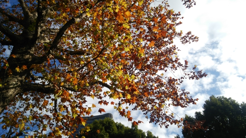 f:id:shukuzou:20171120144435j:plain f:id:shukuzou:20171120144435j:plain