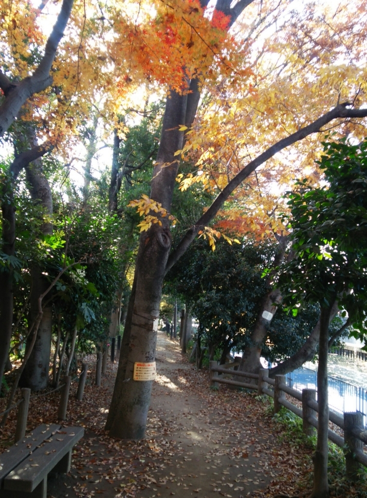 f:id:shukuzou:20171204142458j:plain f:id:shukuzou:20171204142458j:plain
