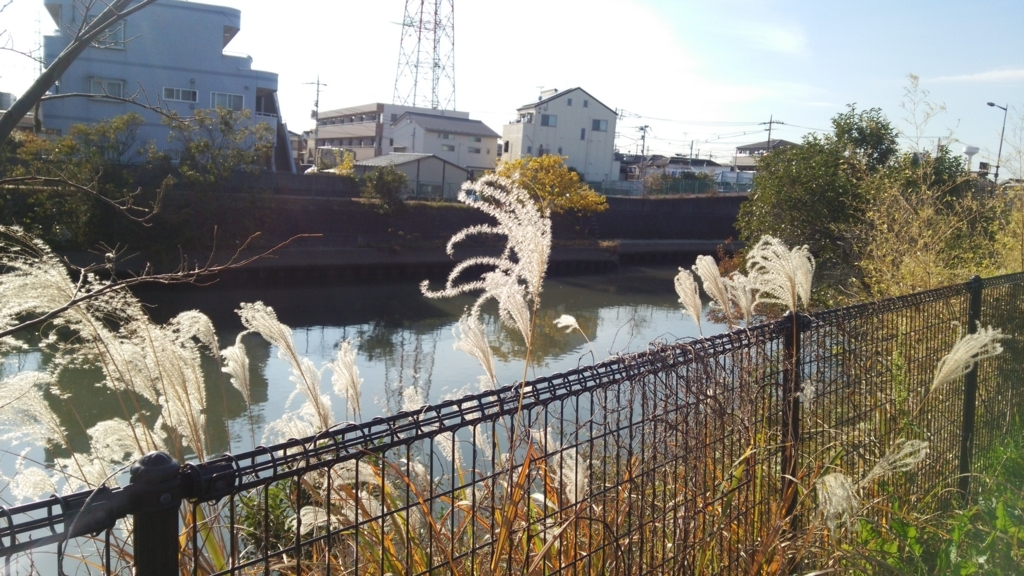 f:id:shukuzou:20171204142553j:plain f:id:shukuzou:20171204142553j:plain