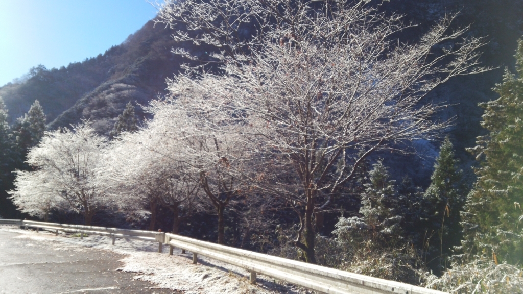 f:id:shukuzou:20171211105804j:plain
