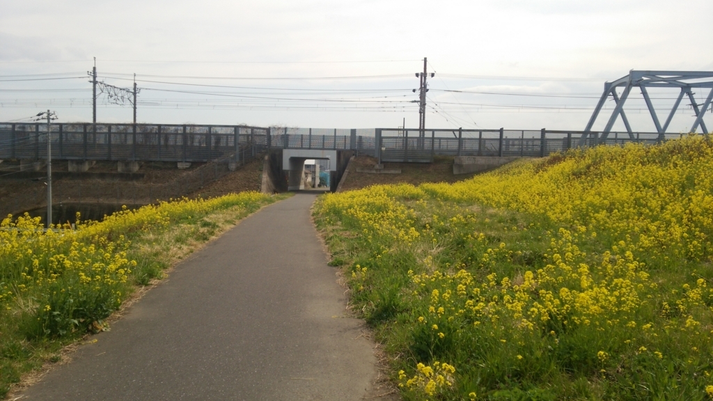 f:id:shukuzou:20180319112136j:plain f:id:shukuzou:20180319112136j:plain