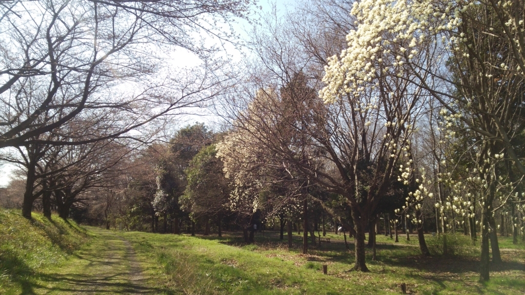 f:id:shukuzou:20180327163022j:plain