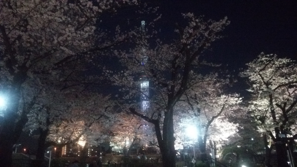 f:id:shukuzou:20180329103838j:plain f:id:shukuzou:20180329103838j:plain
