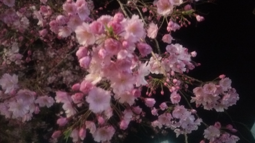 f:id:shukuzou:20180329104138j:plain f:id:shukuzou:20180329104138j:plain