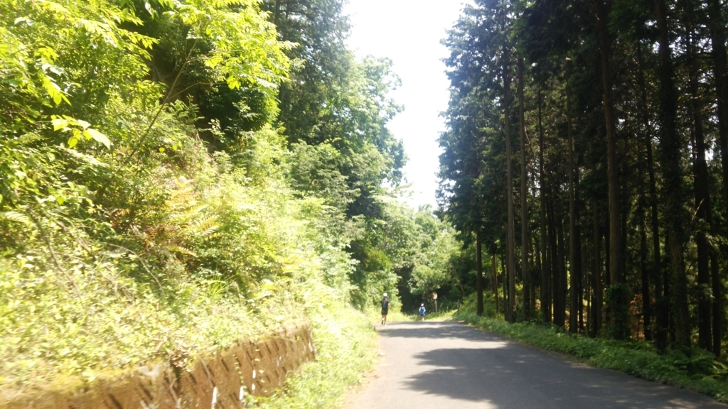 f:id:shukuzou:20180528123127j:plain