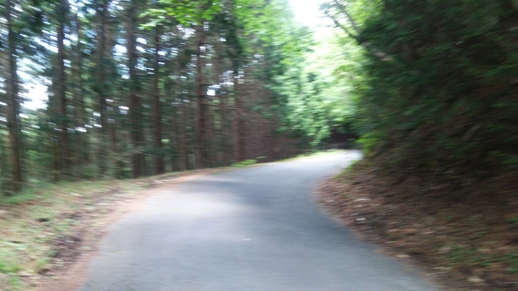 f:id:shukuzou:20180703073116j:plain
