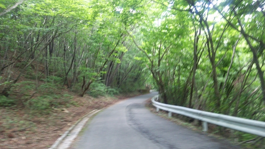 f:id:shukuzou:20180703073248j:plain