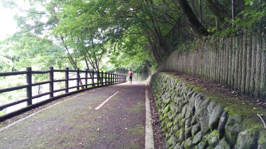 f:id:shukuzou:20180709143623j:plain