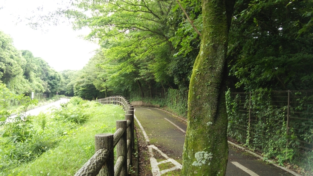 f:id:shukuzou:20180709143713j:plain