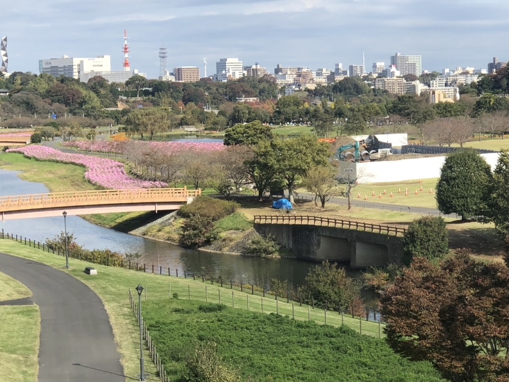 f:id:shukuzou:20181030100016j:plain f:id:shukuzou:20181030100016j:plain