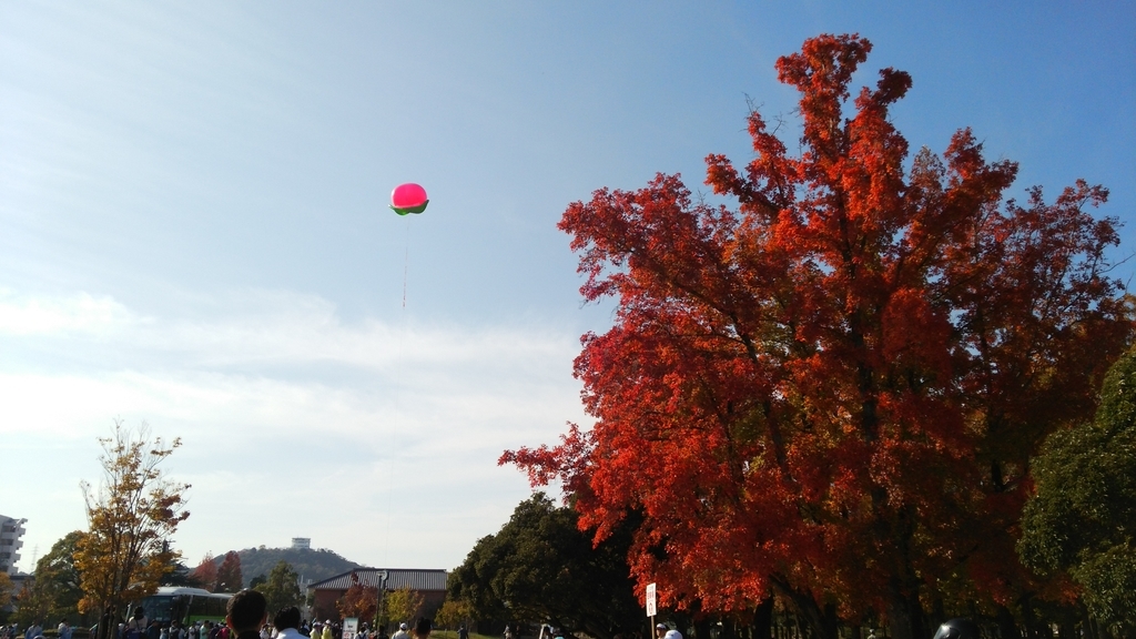 f:id:shukuzou:20181115124207j:plain f:id:shukuzou:20181115124207j:plain