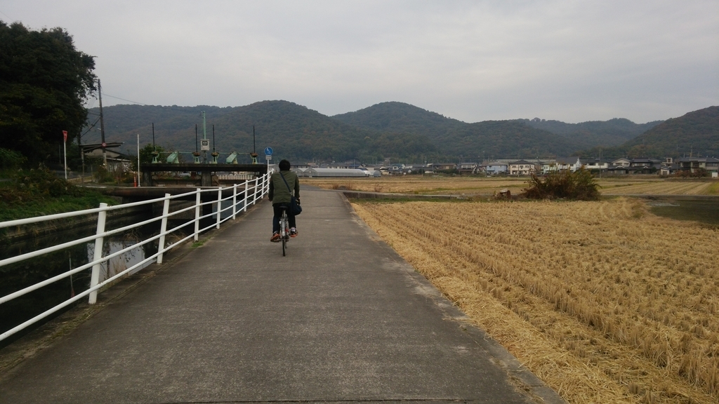 f:id:shukuzou:20181115124324j:plain