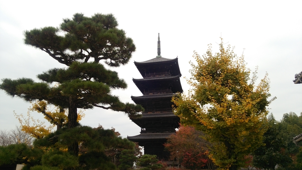 f:id:shukuzou:20181115124857j:plain f:id:shukuzou:20181115124857j:plain