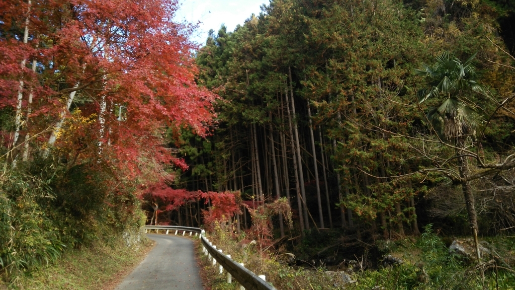 f:id:shukuzou:20181204124604j:plain