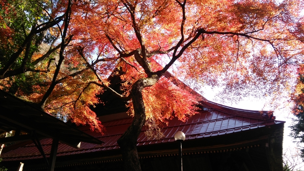 f:id:shukuzou:20181204124854j:plain